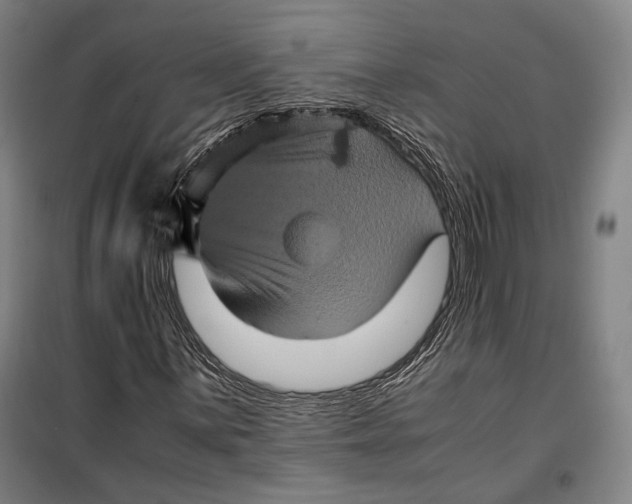 X0000099471059200805301551