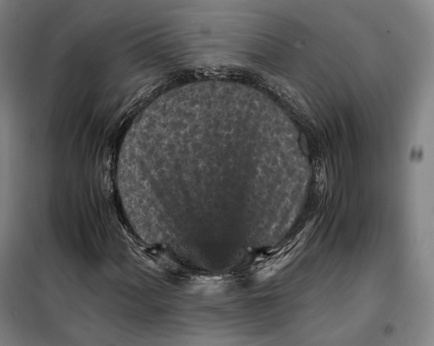 X0000099471060200805301551