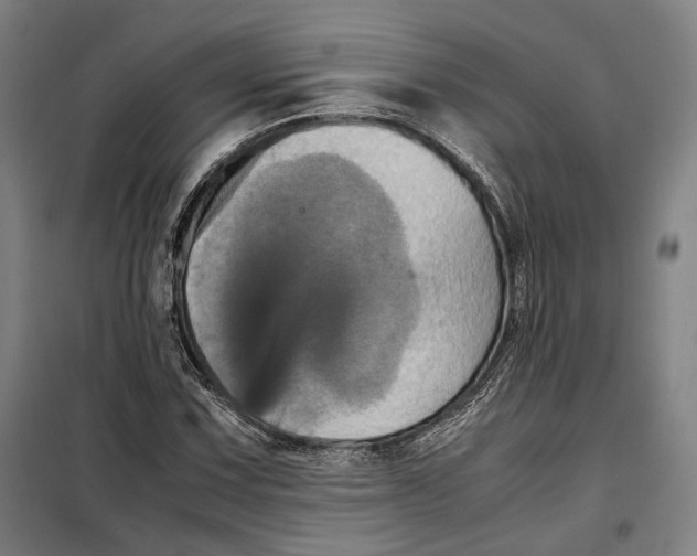 X0000099471067200805301551