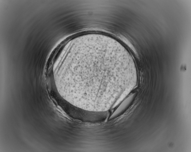 X0000099471068200805301551