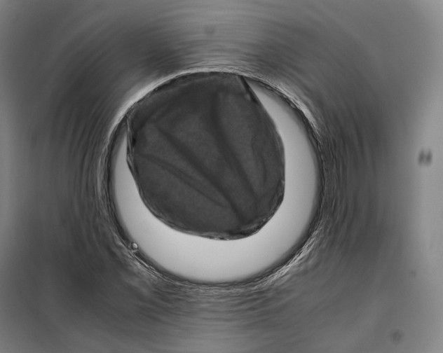 X0000099471069200805301551