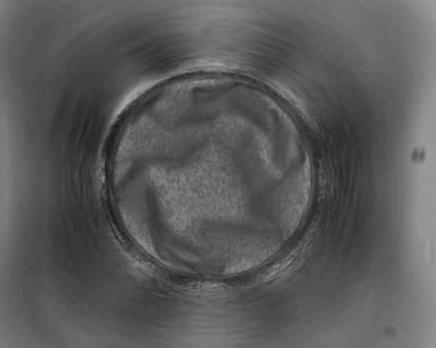 X0000099471070200805301551