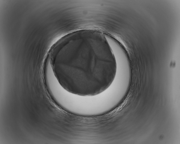 X0000099471071200805301551