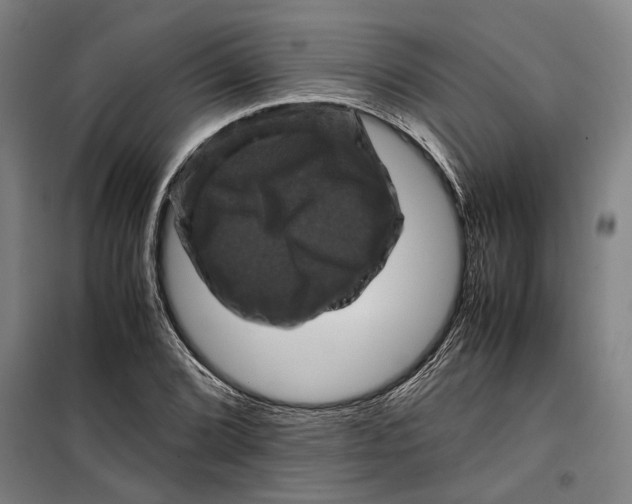 X0000099471072200805301551