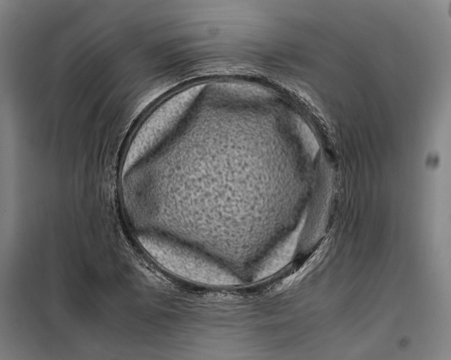 X0000099471073200805301551