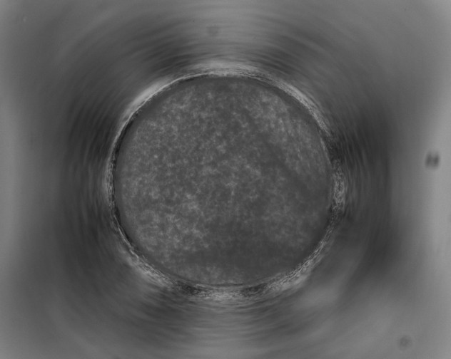 X0000099471074200805301551