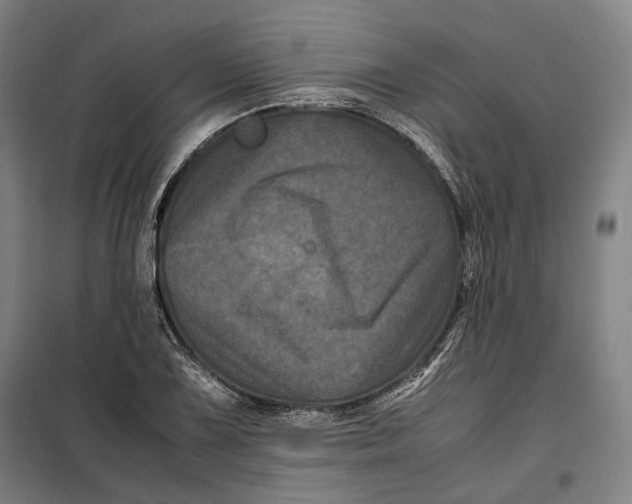 X0000099471075200805301551