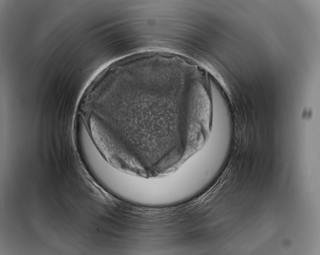 X0000099471076200805301551