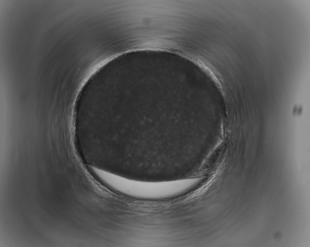 X0000099471077200805301551