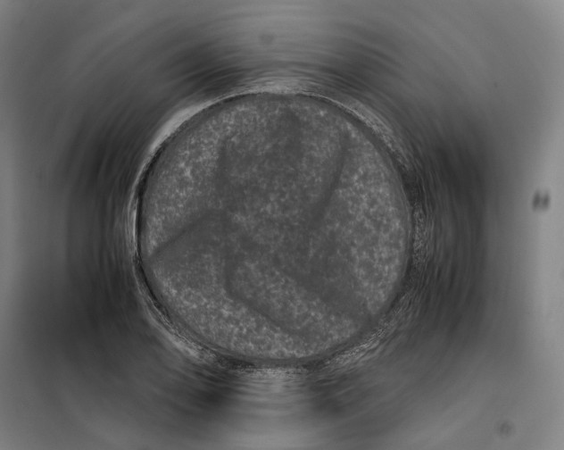 X0000099471078200805301551