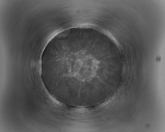 X0000099471079200805301551