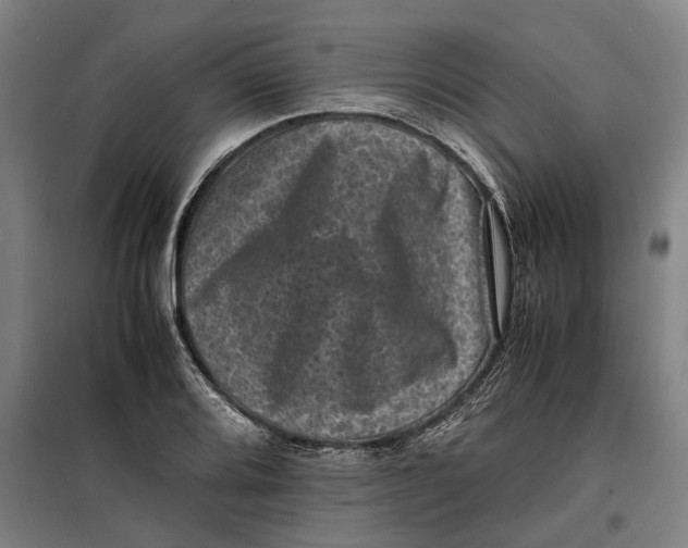 X0000099471080200805301551