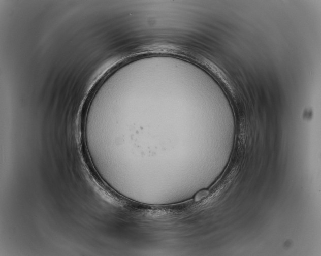 X0000099471082200805301551