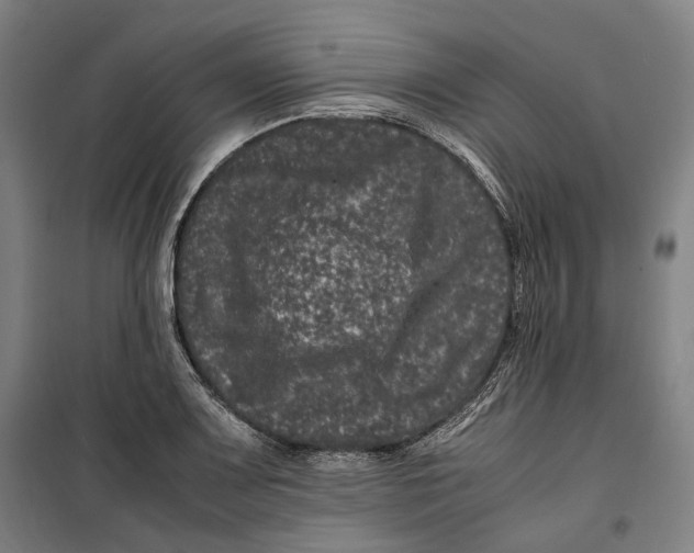 X0000099471083200805301551