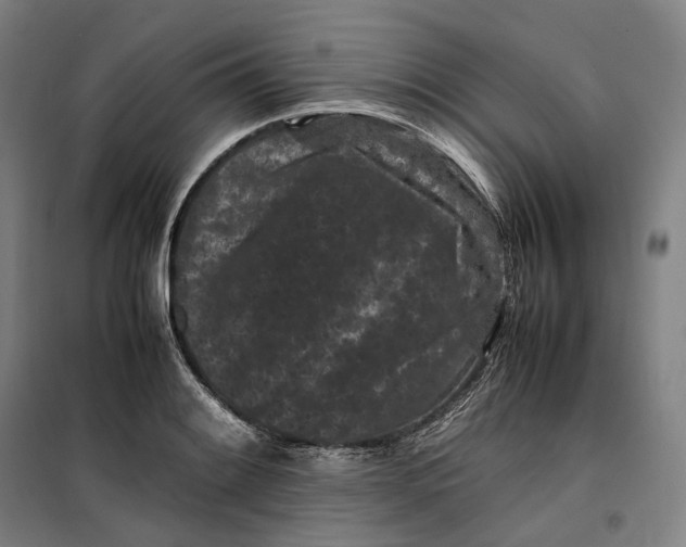 X0000099471084200805301551