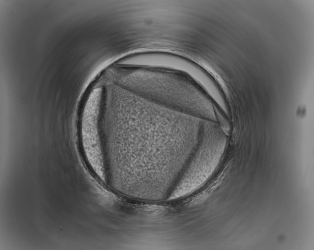 X0000099471085200805301551