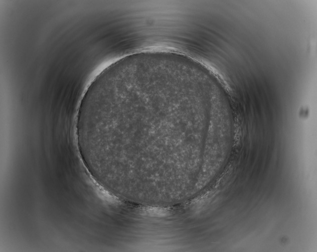 X0000099471086200805301551