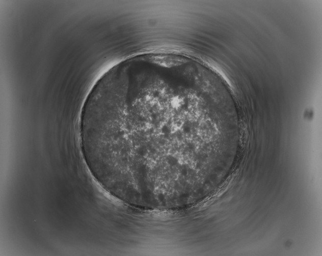 X0000099471087200805301551