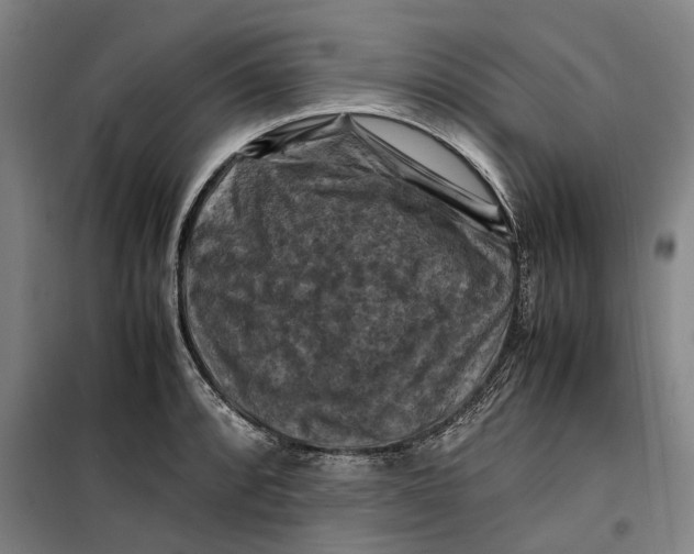 X0000099471088200805301551