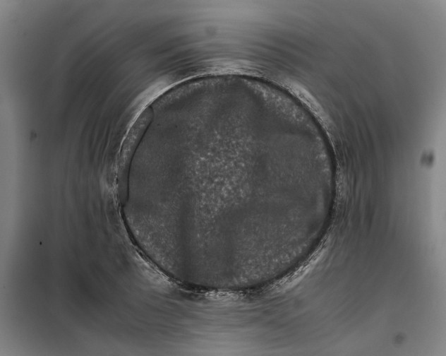 X0000099471089200805301551