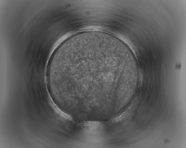 X0000099471090200805301551