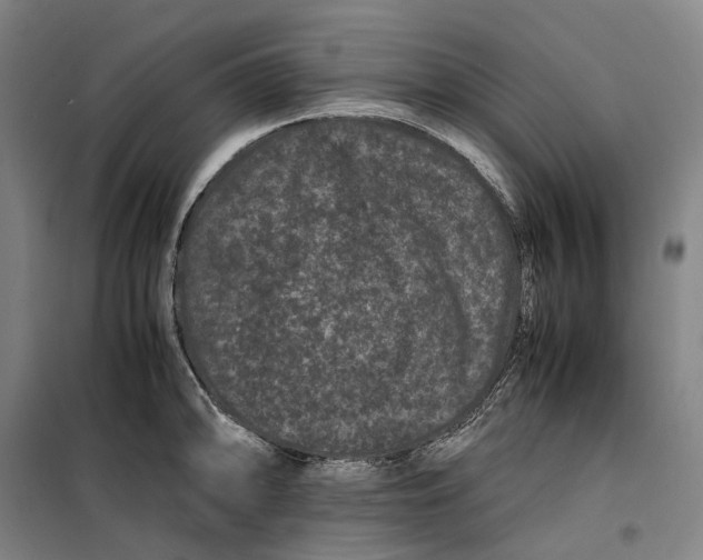 X0000099471094200805301551