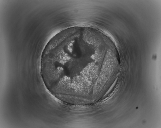 X0000099471095200805301551