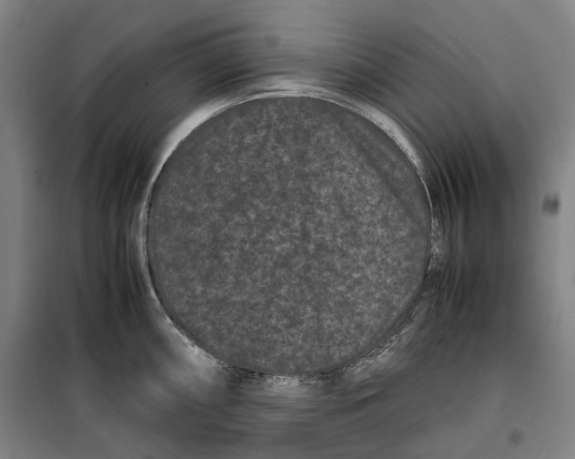 X0000099471098200805301550