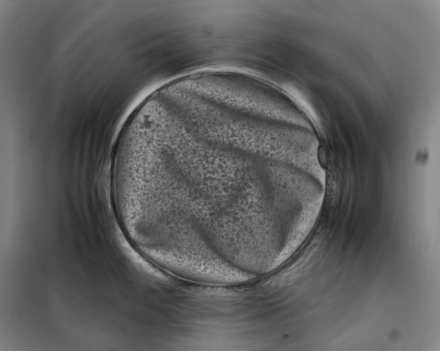 X0000099471100200805301550