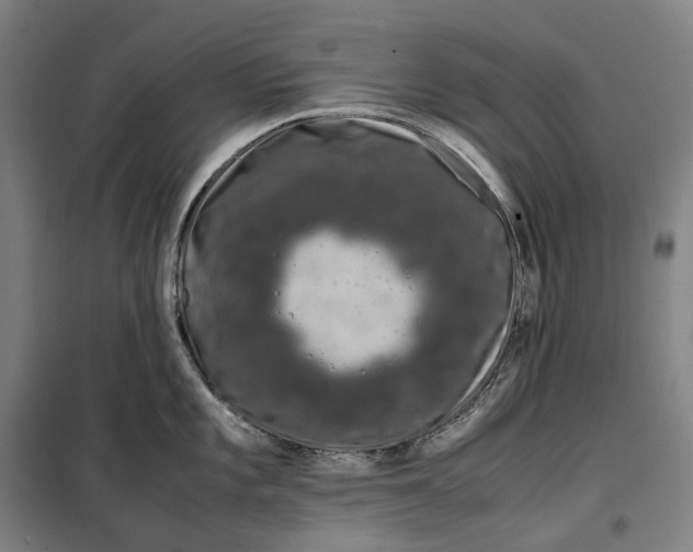 X0000099471101200805301550