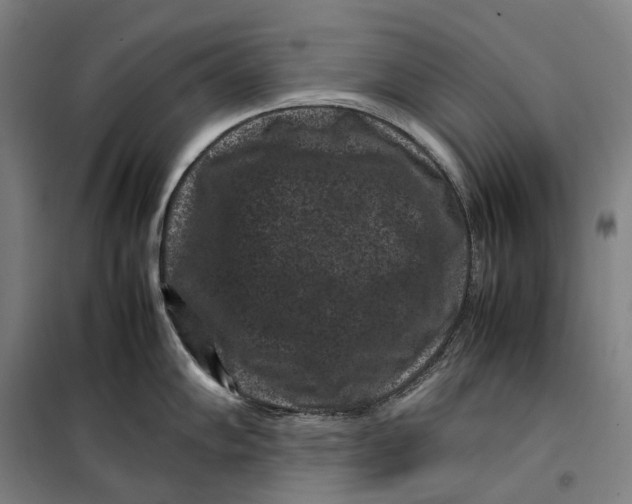 X0000099471102200805301550