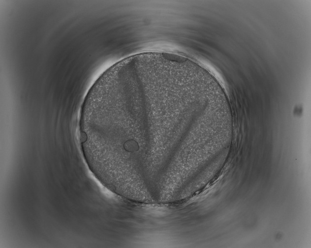 X0000099471103200805301550