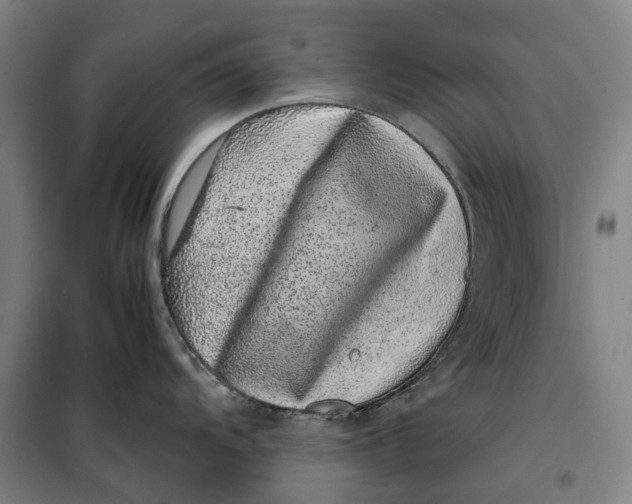 X0000099471104200805301550