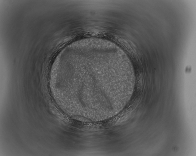 X0000099471105200805301550