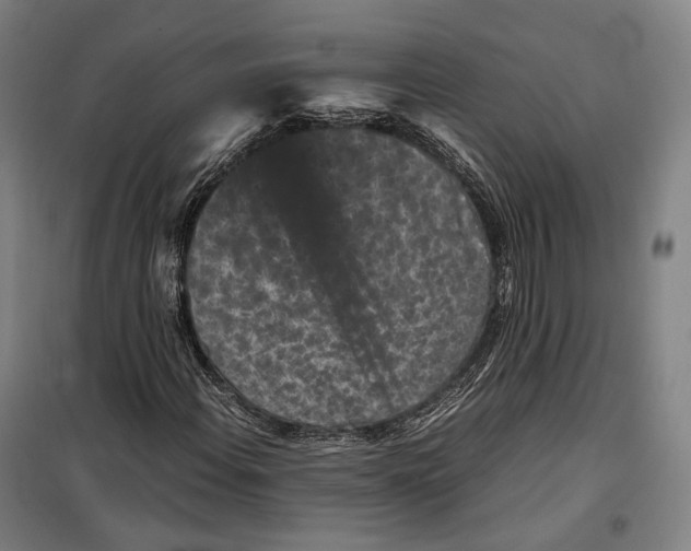 X0000099471108200805301550