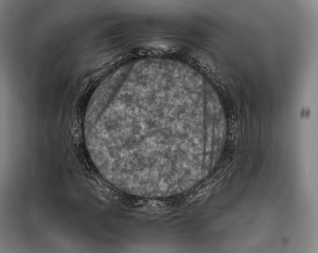 X0000099471109200805301550