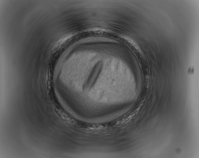 X0000099471111200805301550