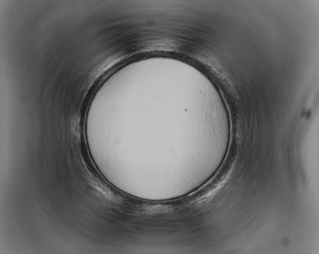 X0000099471113200805301550