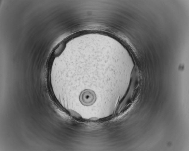 X0000099471114200805301550