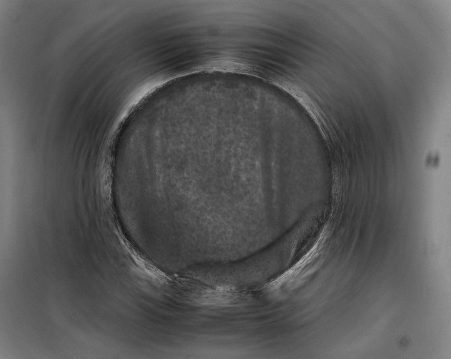 X0000099471115200805301550