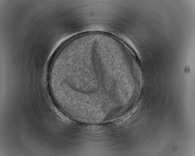 X0000099471116200805301550