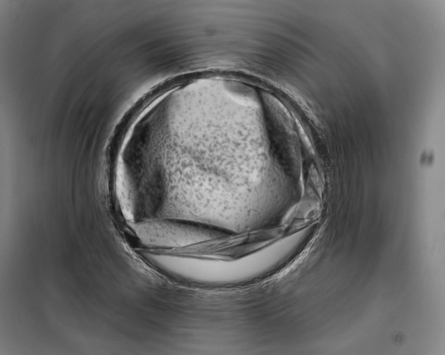 X0000099471118200805301550