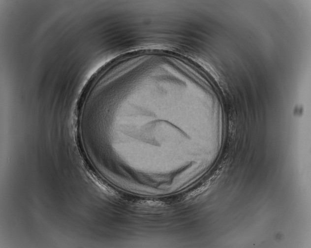 X0000099471119200805301550