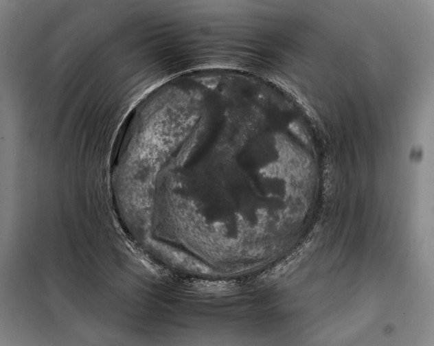 X0000099471121200805301550