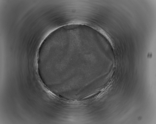 X0000099471124200805301550