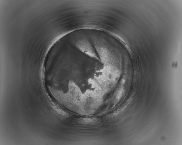 X0000099471125200805301550