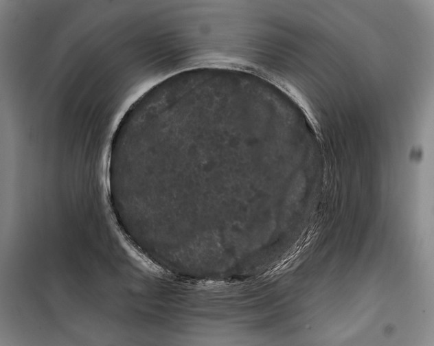 X0000099471128200805301550