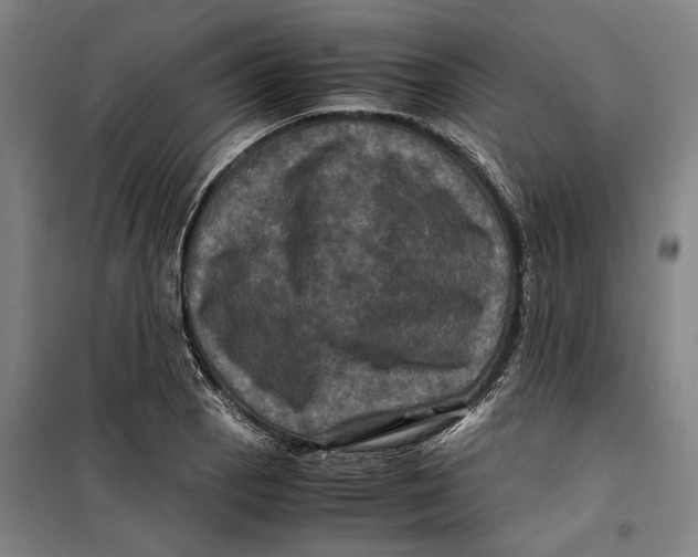 X0000099471129200805301550