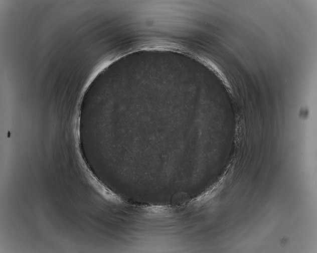 X0000099471130200805301550