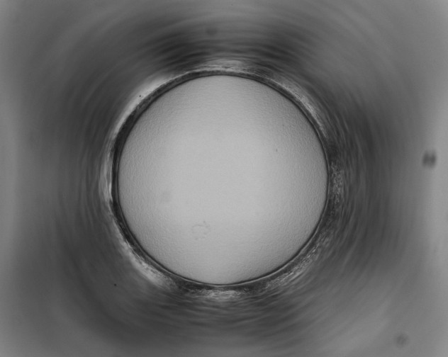 X0000099471131200805301550